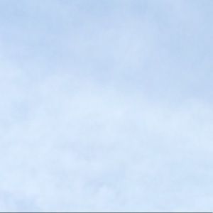 Meet your Posher, Evangelina